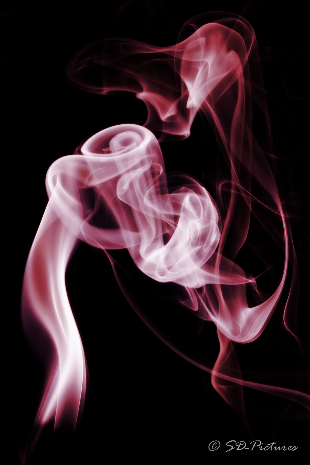 WEB  DP 3370 als Smartobjekt 1 Kopie